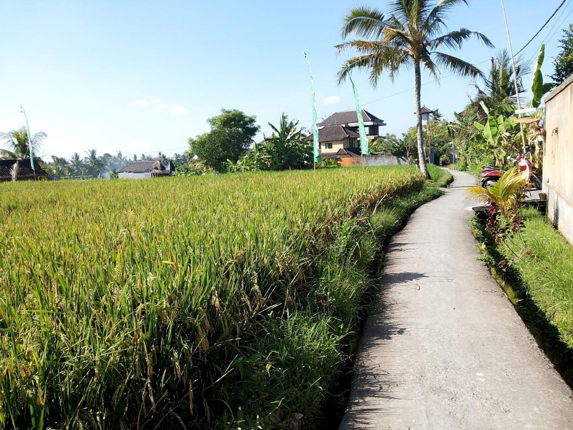 Jagi Villa Ubud Zewnętrze zdjęcie